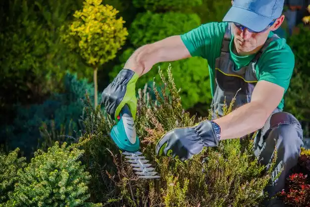 landscaping services Grandview Heights